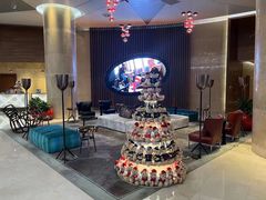 -南京禄口机场雅高铂尔曼大酒店