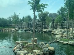 -北京野生动物园