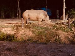 -清迈夜间动物园