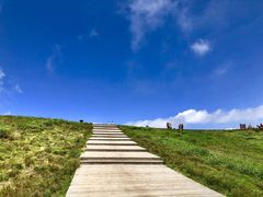 -萍乡武功山风景名胜区