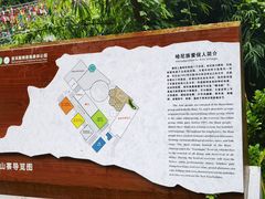 -西双版纳原始森林公园