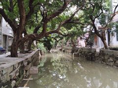 -小洲村