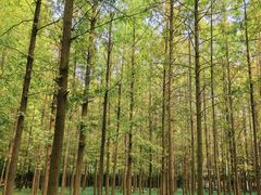 -河南省黄河迎宾馆