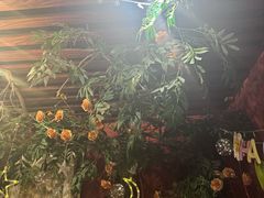 -第101座花园餐厅(湖滨88店)