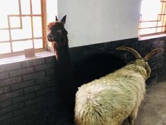 -河北村民俗体验园