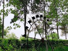 -合肥滨湖国家森林公园