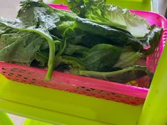 -15年老字号鑫鑫猪肚鸡·椰子鸡海南火锅(兴隆华侨农场店)