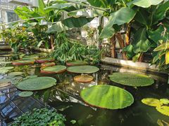 -国家植物园南园