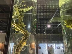 -广东中医药博物馆