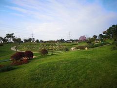 -紫颐香薰山谷景区