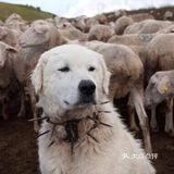涨涨见识