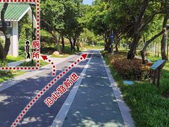 -王借岗森林公园