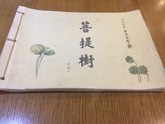 -菩提树·素食餐厅(汇智国际商业中心店)