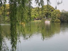 -尚湖风景区