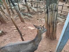 -昆明动物园
