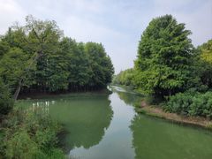 -贡湖湾湿地公园