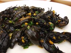 豉油王龙虱-轩记海鲜餐厅·四十五年老字号·经典粤菜(西区彩虹店)