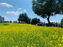 -长白岛森林公园