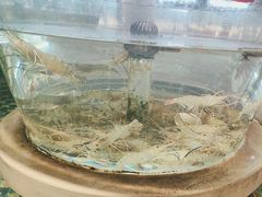 -南海底小海鲜·湘菜(鲁巷吴家湾店)
