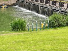 -滨湖塘西河公园