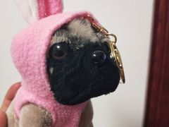 -PAWTOY爪e玩偶店(天兴罗斯福店)