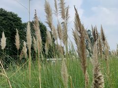 -中国天府农业博览园