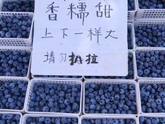 -灵山卫大集