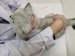 -中农大我爱我爱动物医院·核磁CT·猫病·24小时夜诊中心(石佛营店)