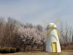 -辽宁团山国家级海洋公园
