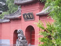 -洛阳白马寺