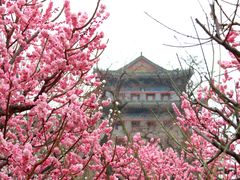 -北京明城墙遗址公园