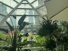 -荣轩(新荣记环球金融中心店)
