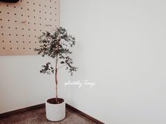 -DEEP COFFEE(瑞光烘焙工厂店)