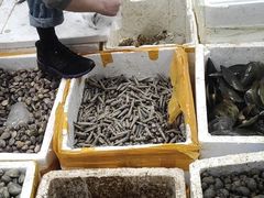 -渔人湾码头海鲜市场负二楼