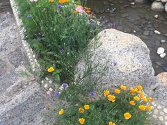 -桑吉林新派藏餐·汤锅·川菜