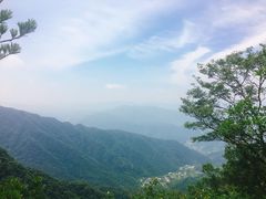 -王顺山国家森林公园