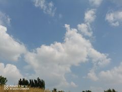 -大望京公园