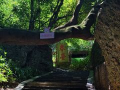 -窦圌山风景区