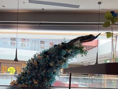 -雀蓝川菜(滨湖万象汇店)