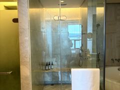 -东莞松山湖凯悦酒店