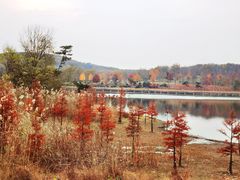 -南京枫彩漫城