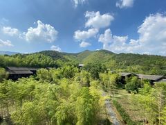 -大唐贡茶院