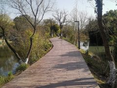 -西溪国家湿地公园