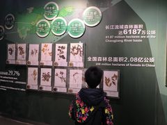 -武汉园博园(武汉自然博物馆)