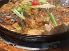 -老板恋上鱼(恒隆广场店)