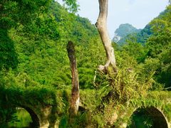-荔波小七孔景区