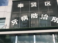 -上海市徐汇区口腔医院