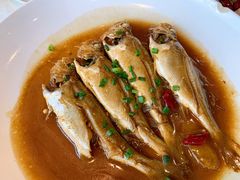 小黄鱼-温岭人家(红花北路店)