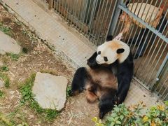-黔灵山公园