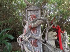 -横店影视城梦幻谷园区